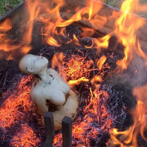 DE TERRE ET DE FEU JOURNÉE D'ENFUMAGE ET DE CUISSONS RAKU