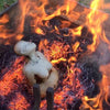 DE TERRE ET DE FEU JOURNÉE D'ENFUMAGE ET DE CUISSONS RAKU